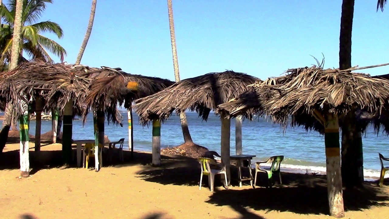 Playa Los Gringos, plage sauvage bordée de cocotiers